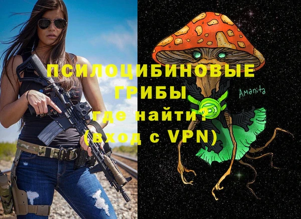 стафф Бронницы